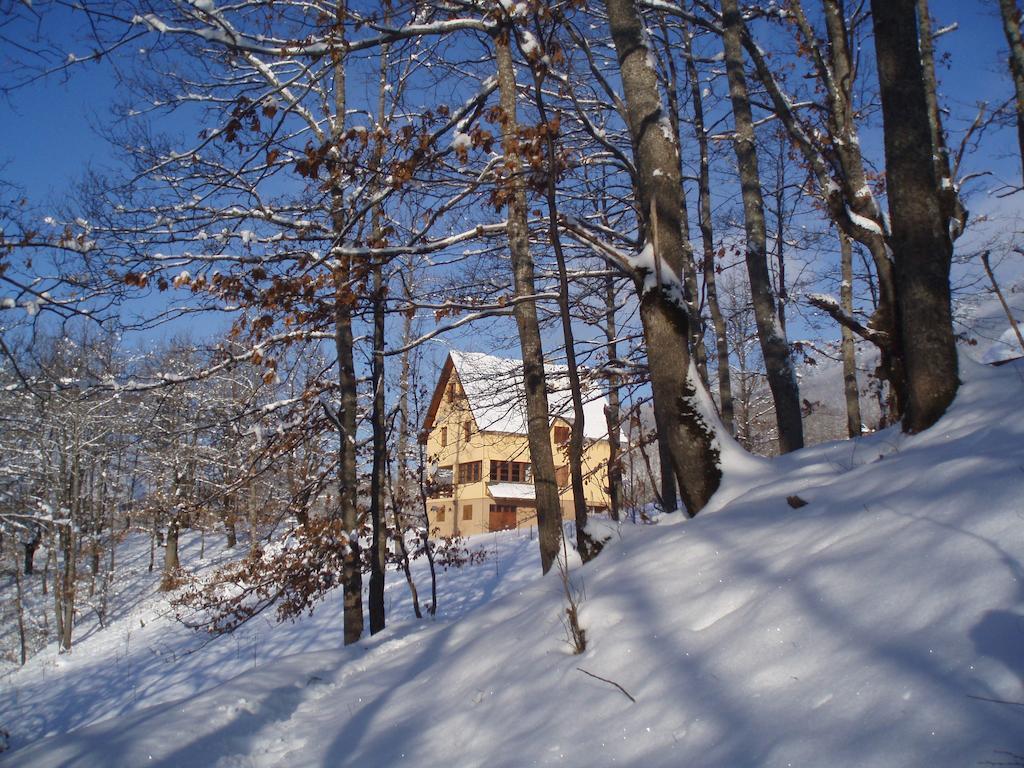 פלייבליה Guest House Tara Canyon מראה חיצוני תמונה